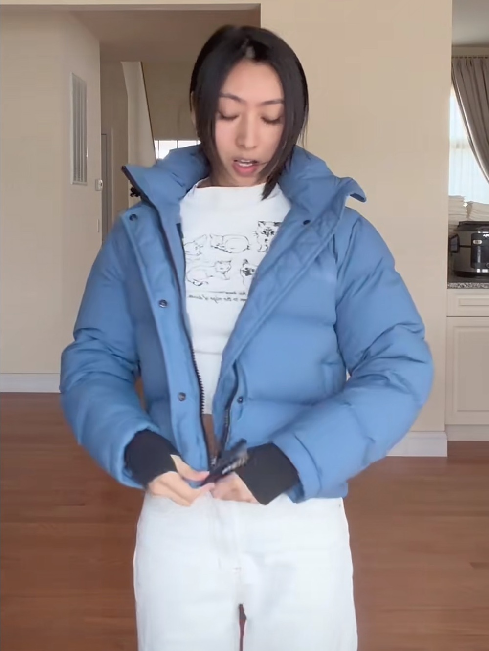 Aritzia Light Blue Short Puffer Jacket